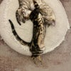 Marija\'s picture