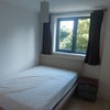 Photo 4: bedroom - window