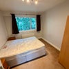 Photo 8: Bedroom