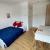Photo 3: Room 8 