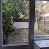 Photo 4: Garden