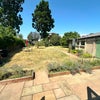 Photo 2: Lovely garden