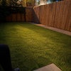 Photo 8: Garden
