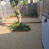 Photo 7: Garden