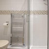 Photo 9: Shower Toilet