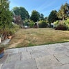 Photo 9: Large garden