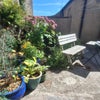 Photo 8: Back yard...