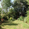 Photo 8: Shared Garden