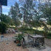 Photo 6: Back garden