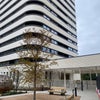 Photo 6: the building