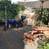 Photo 5: garden