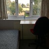 Photo 5: Single Room