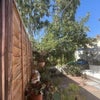 Photo 8: Garden