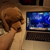 Photo 7: Cozy night in