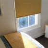 Photo 3: Furnished room in 5 bed house