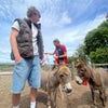 Joe\'s picture