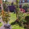 Photo 7: Garden