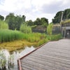 Photo 13: Ecology Pavilion,Mile End