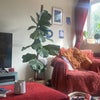 Photo 3: Living room 