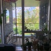Photo 5: Balcony