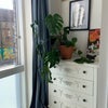 Photo 3: Bedroom