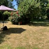 Photo 7: garden