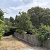 Photo 8: Garden