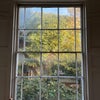 Photo 4: View from kitchen window