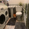 Photo 7: laundry room