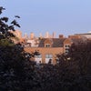 Photo 9: Window view over the Isle of dogs