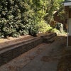 Photo 9: Rear of property