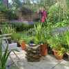 Photo 6: Photo 6: Back garden