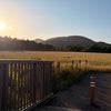 Photo 9: The local area, (1 minute walking)