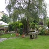 Photo 9: Garden