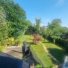 Photo 5: Garden