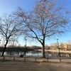 Photo 14: street view 