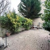 Photo 12: garden 