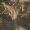 Lee\'s picture
