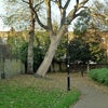 Photo 10: Brunswick Park