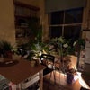 Photo 3: Dinning room on first floor