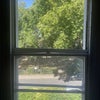 Photo 8: Immediate view from bedroom