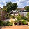 Photo 7: Garden