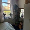 Photo 7: Room 2