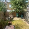 Photo 8: Garden
