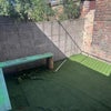Photo 7: Garden