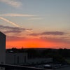 Photo 8: View from Garden terrace