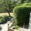 Photo 8: view from room