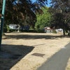 Photo 9: island green area