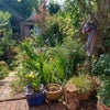 Photo 5: Garden