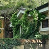 Photo 5: Exterior 